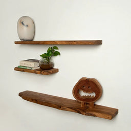Shelves