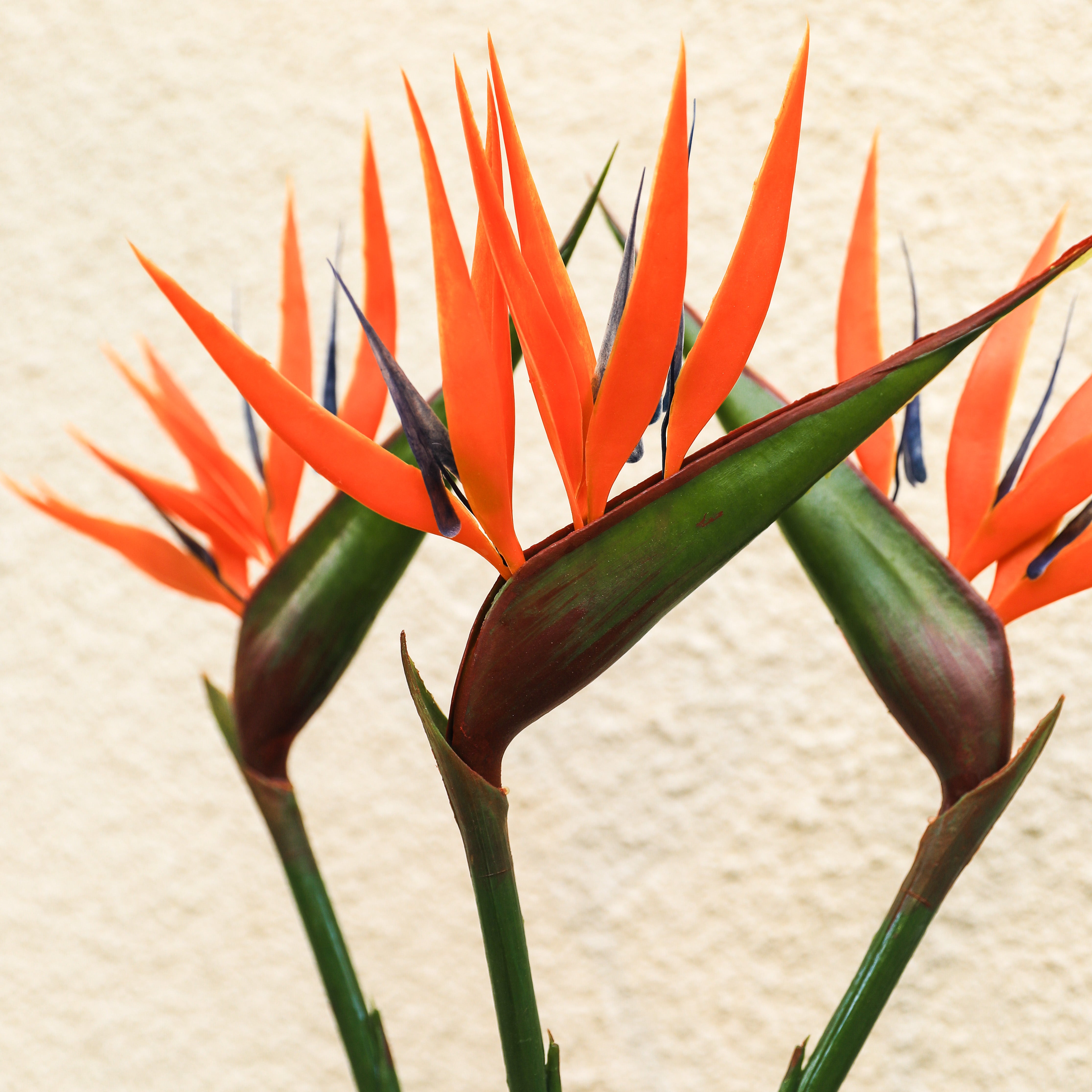 Artificial Flower: Bird of Paradise