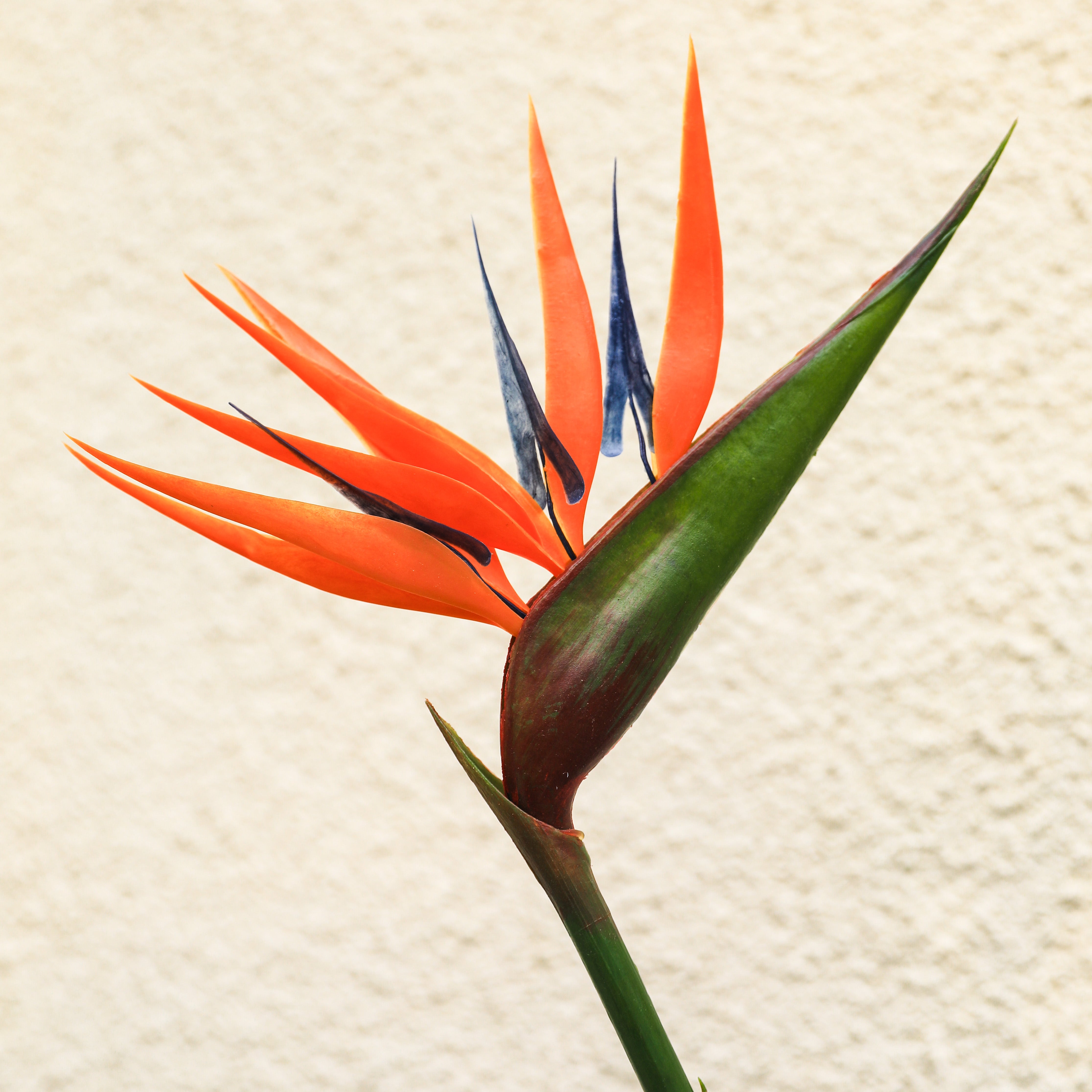 Artificial Flower: Bird of Paradise