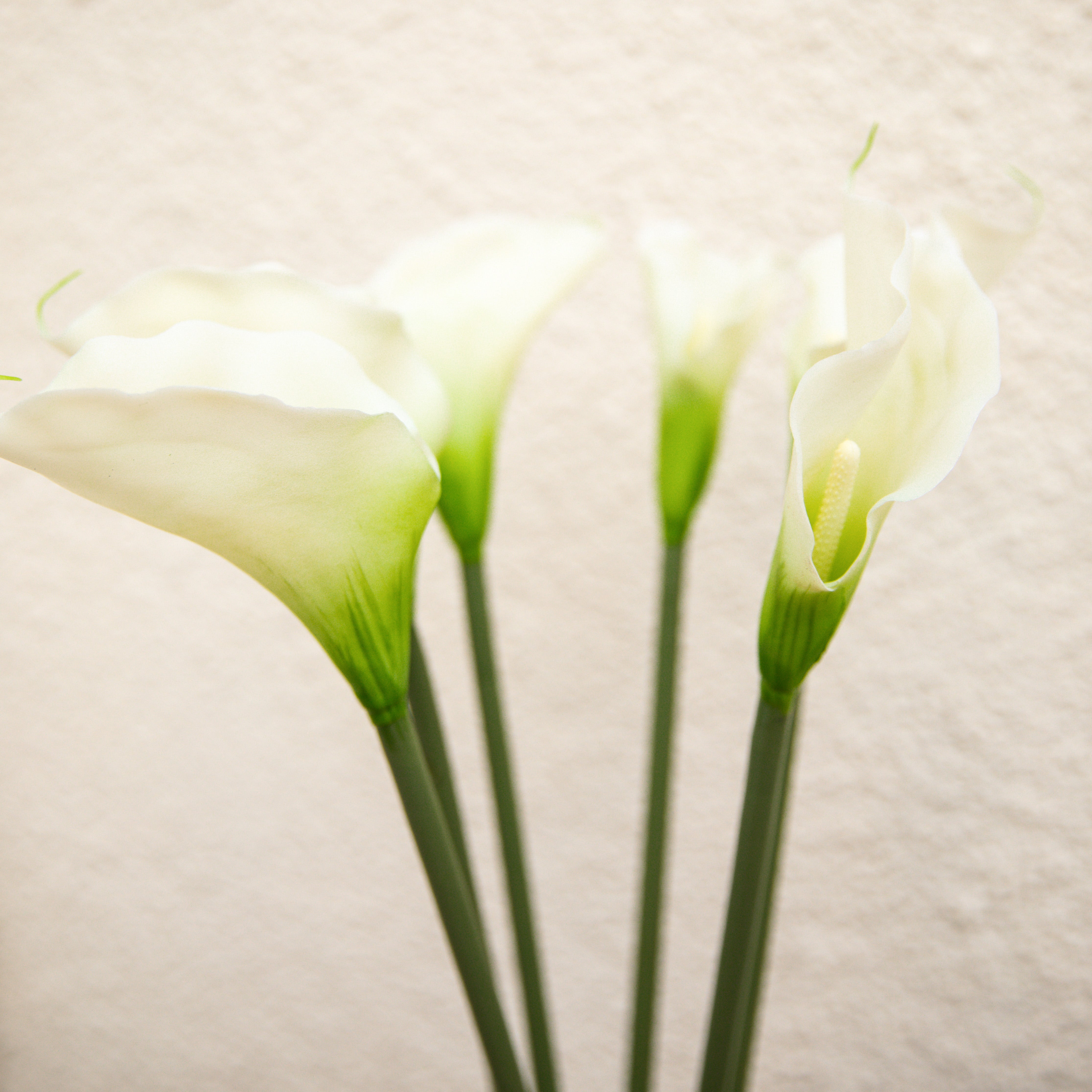 Artificial Flower Cala Lily White