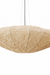 Papyrus Aura Pendant Lamp showing its pale oval shade and uneven paper-like texture.