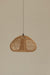 Chesedy Lampshape - Living Shapes