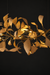 Arbor Chandelier illuminated against a dark background, with leaf-like paper forms and a brass frame.
