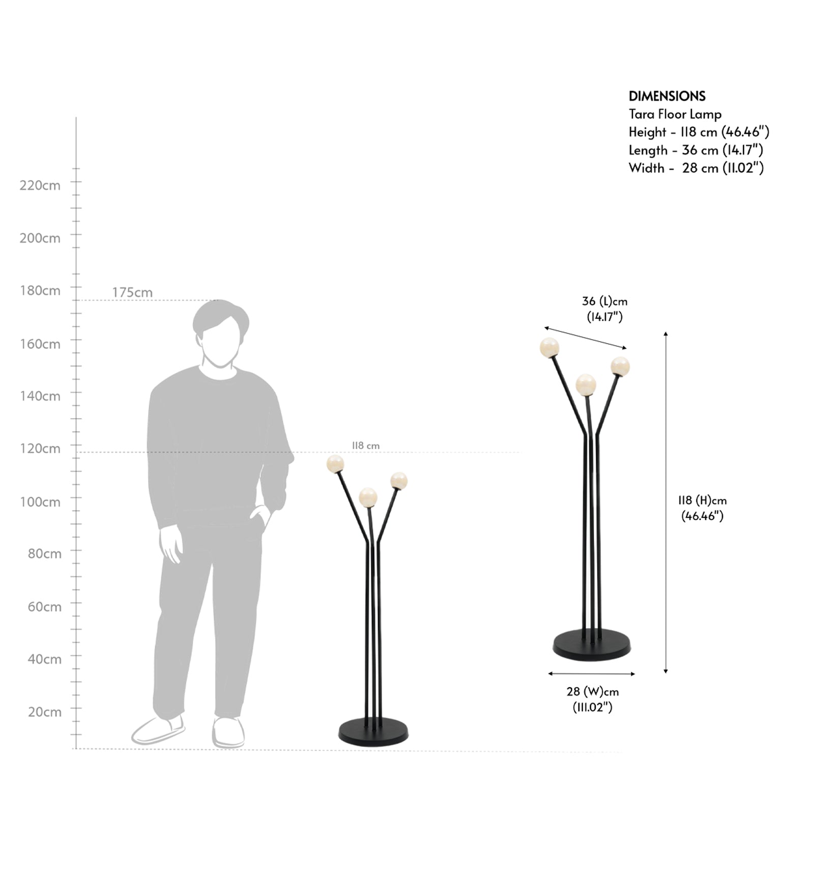 Niora Floor Lamp