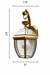 Windsor Brass Wall Lantern dimensions: L 7.5 x B 5 x H 14 in.
