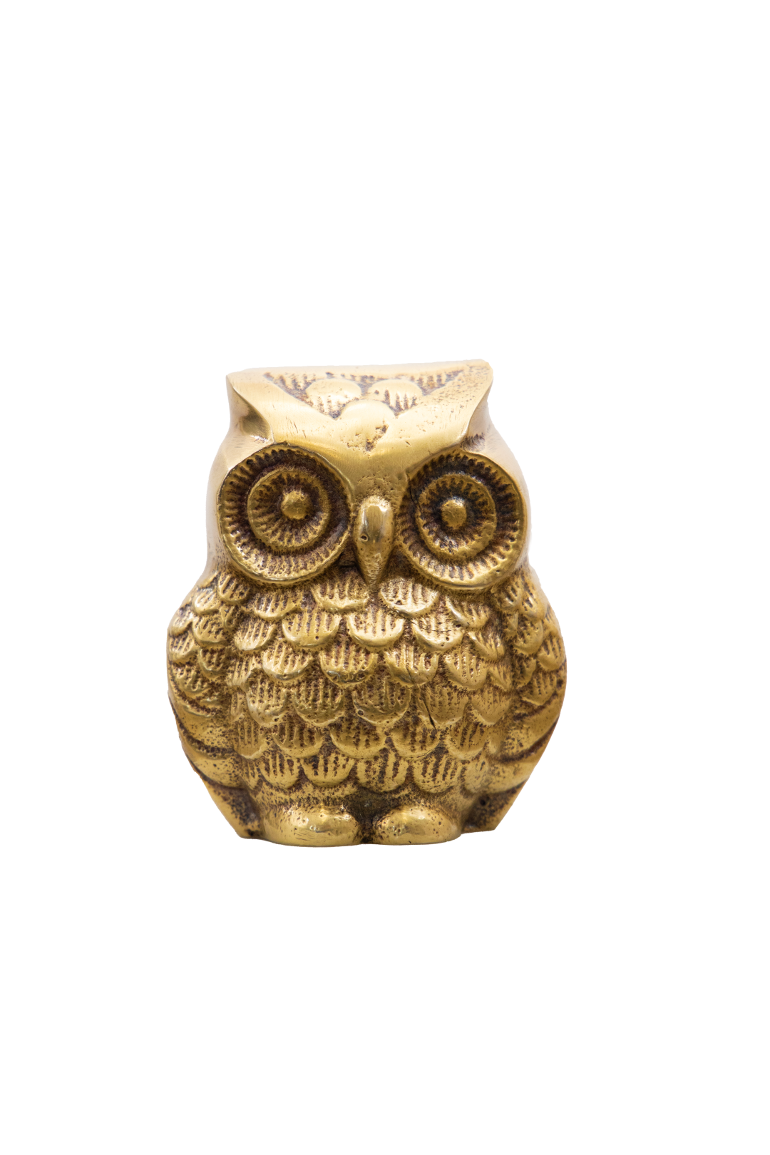 Antique Owl Decor — Home Canvas