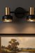 Wall-mounted light fixture with two gold bulbs on a dark wall above a framed landscape painting.