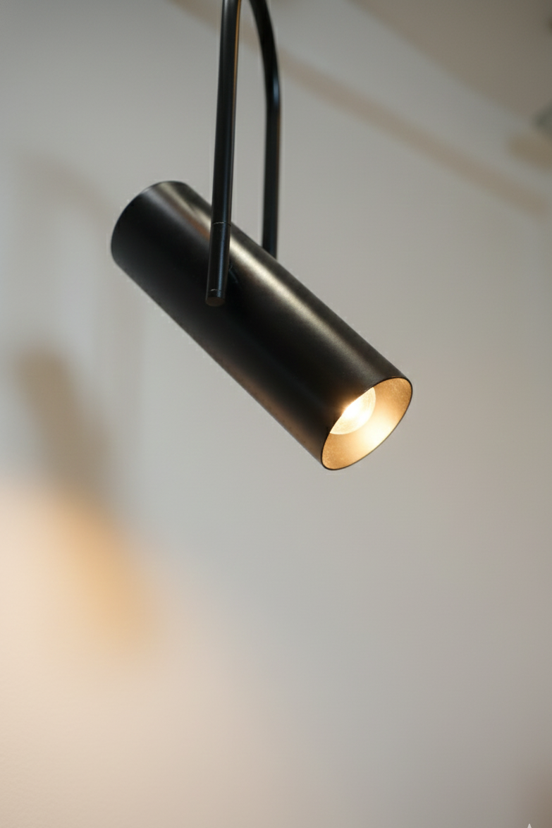 CLH183 The Focus Spot Pendant Light