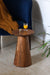 Conifer Acacia Wood Side table