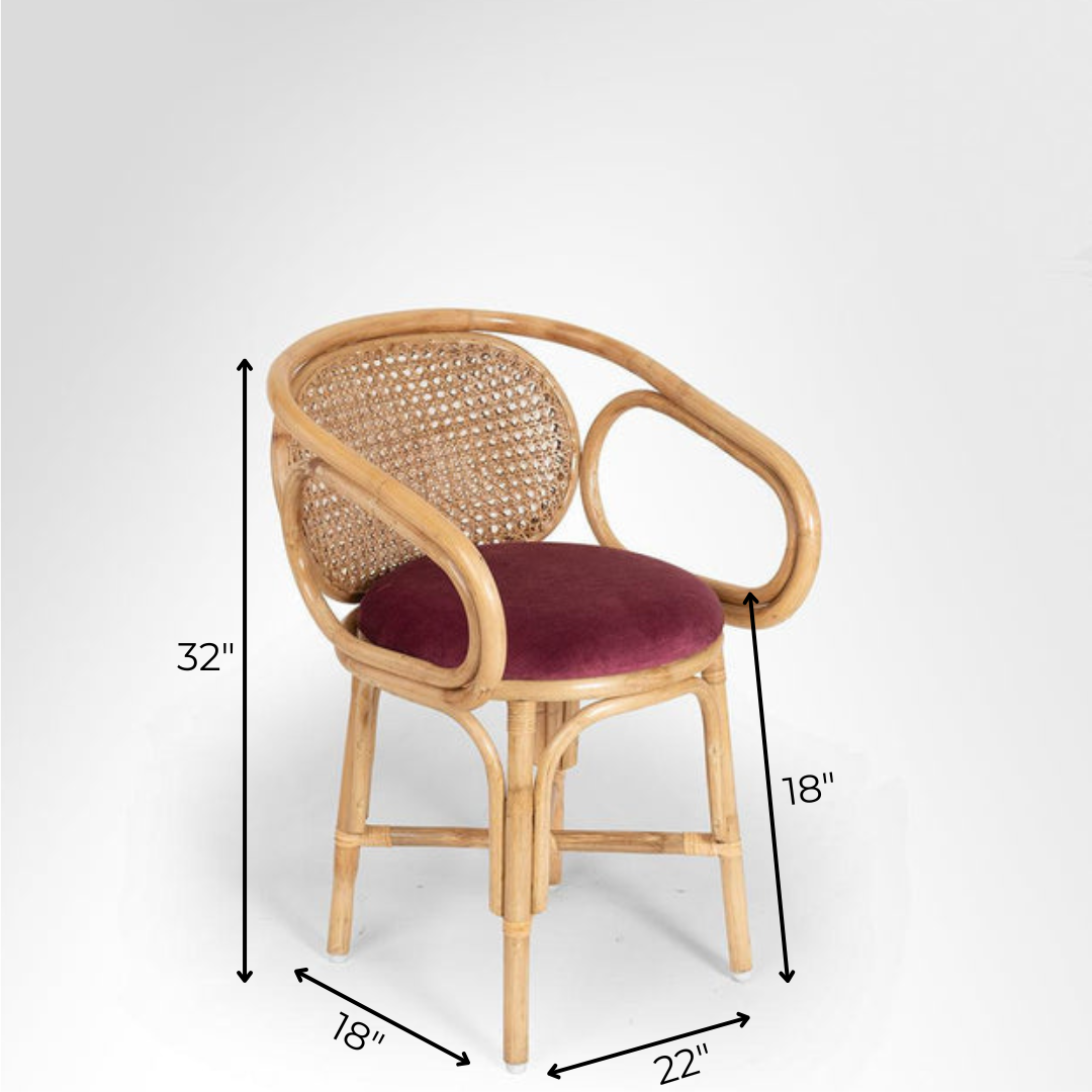 Thonet R 210 Cane Chair