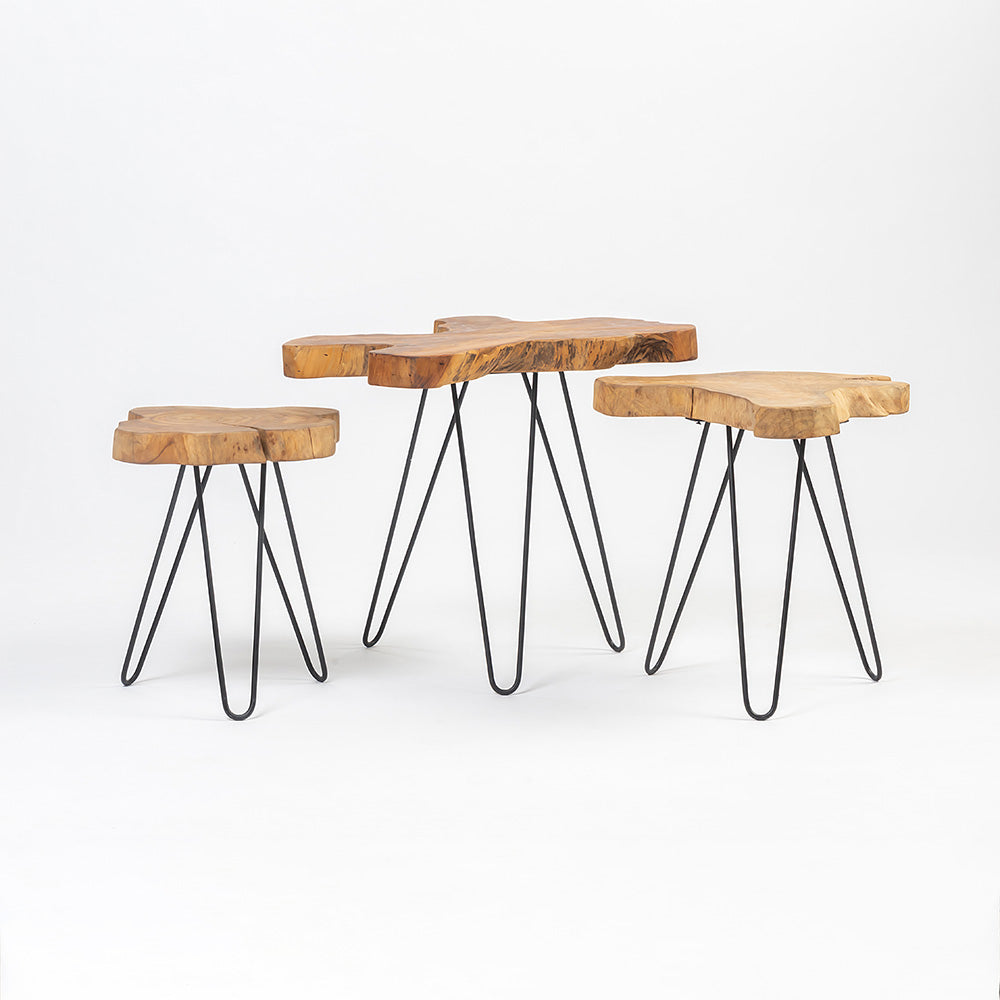 Borneo Accent Tables Set of 3