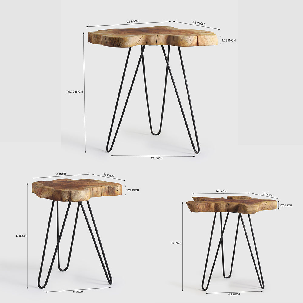 Borneo Accent Tables Set of 3