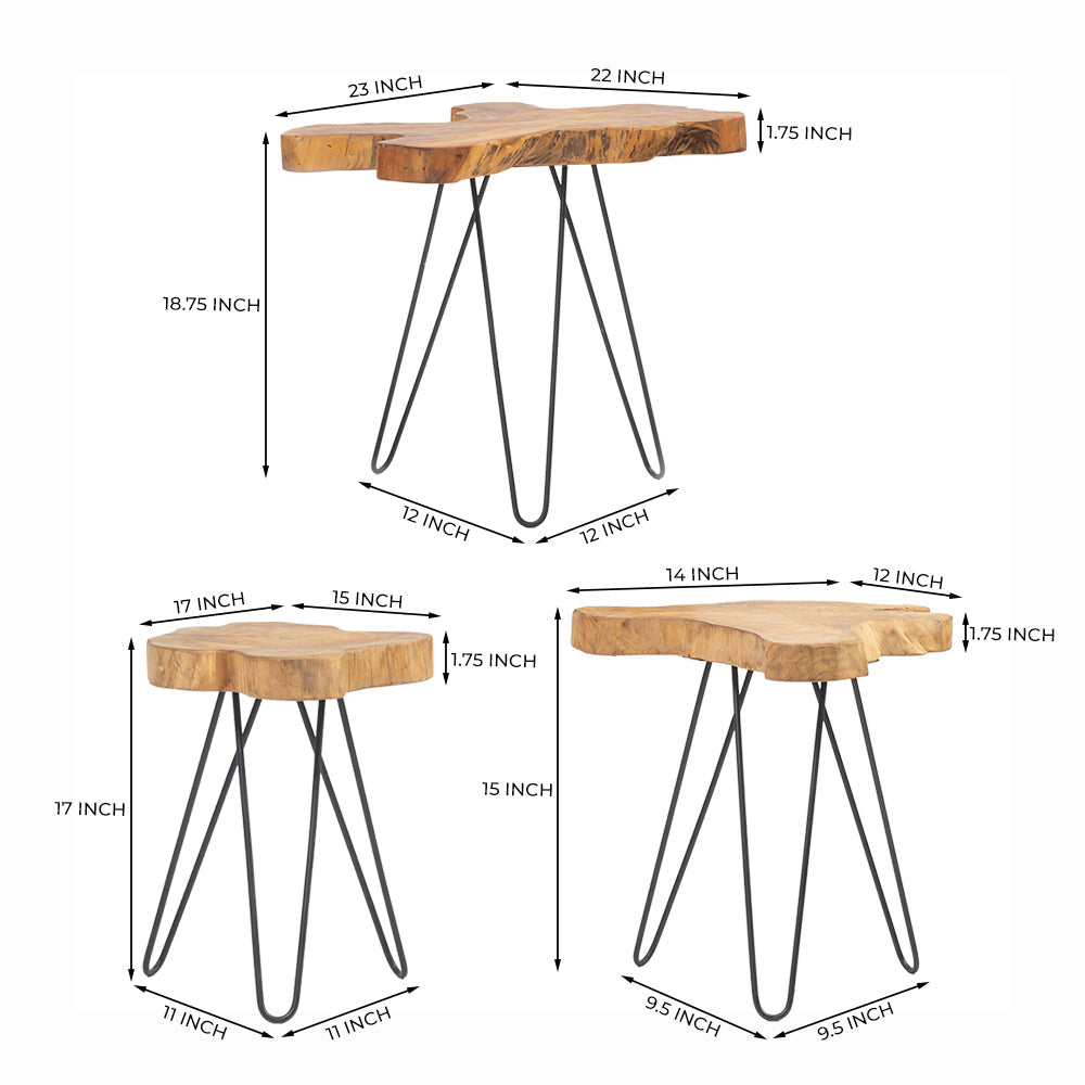 Borneo Accent Tables Set of 3