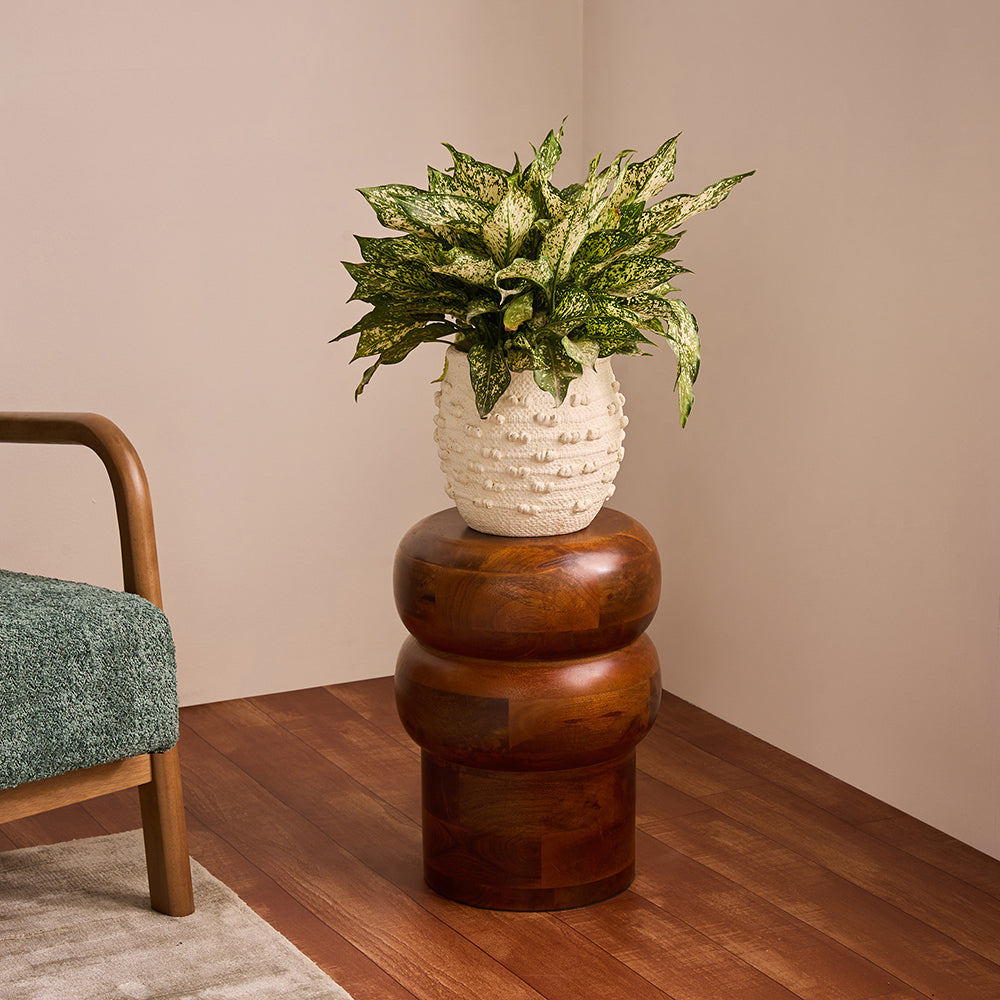 Hale Mango  Side Table 03