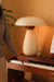 Table lamp for study room.