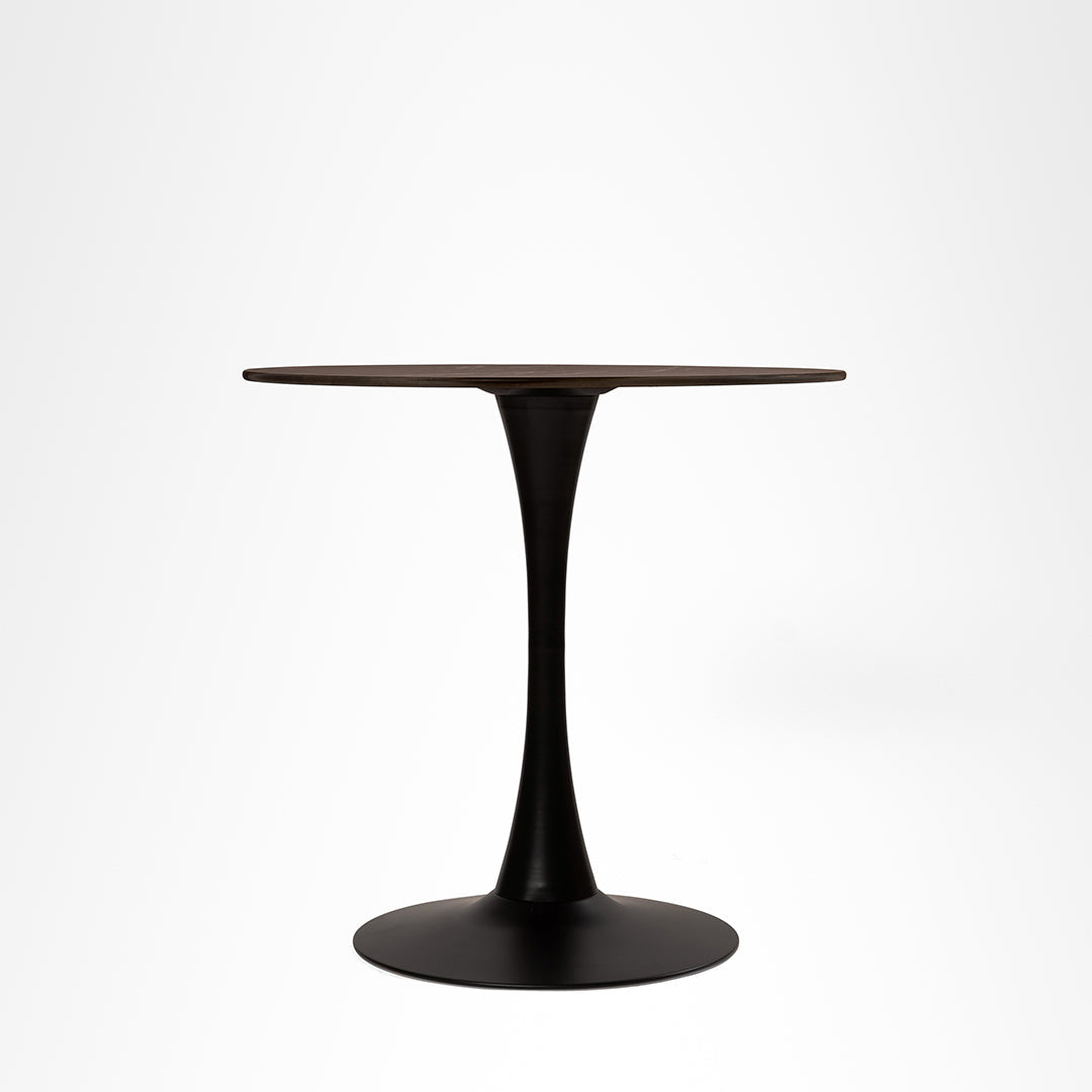 Tulip Metal Table with Tolix Chairs with Arms