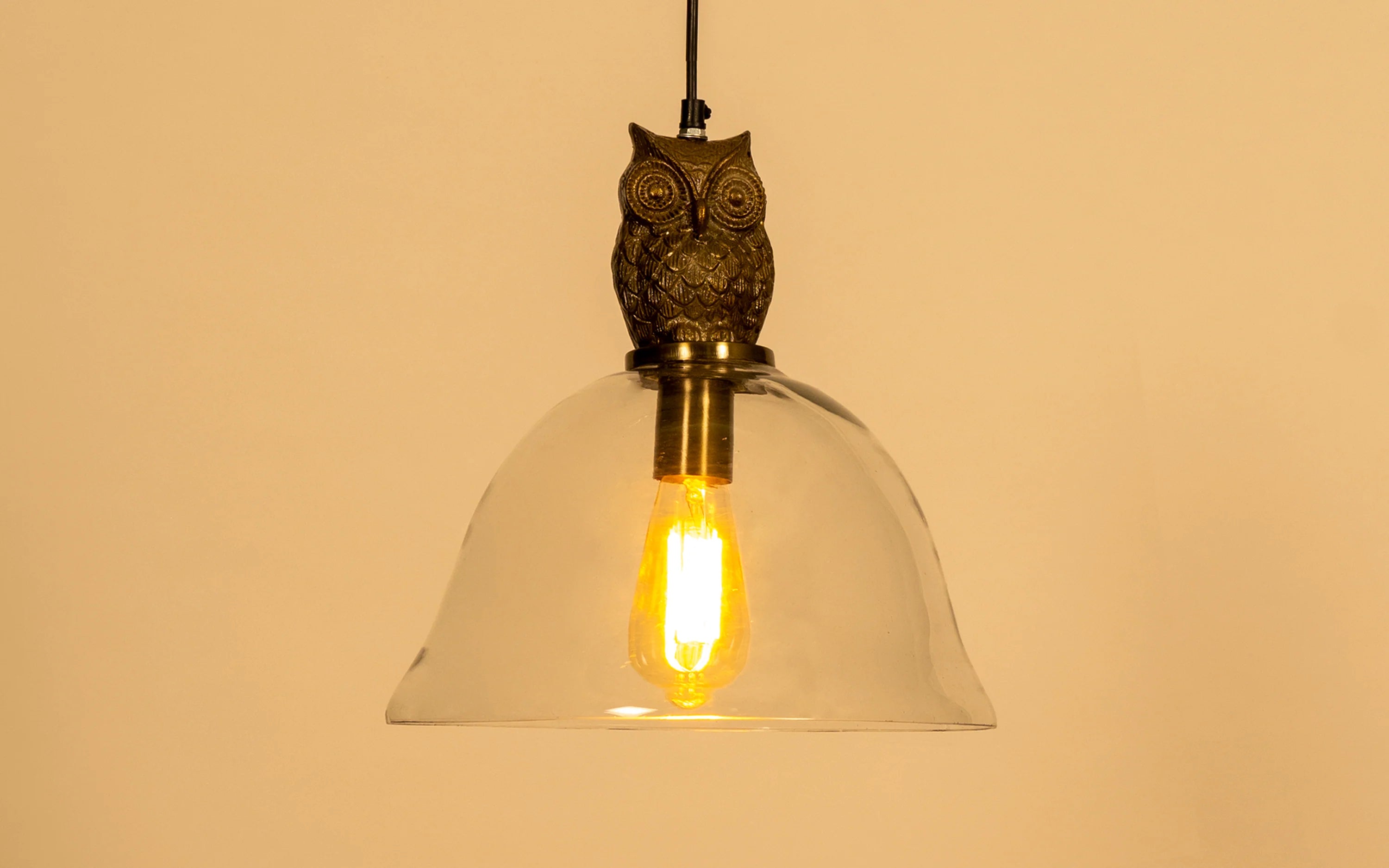 Owl Hanging Lamp