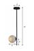 CLH104 Glass Globe Black Ceiling Light