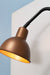 FSW 201 Swivel Arm Wall Mounted Light Fixture
