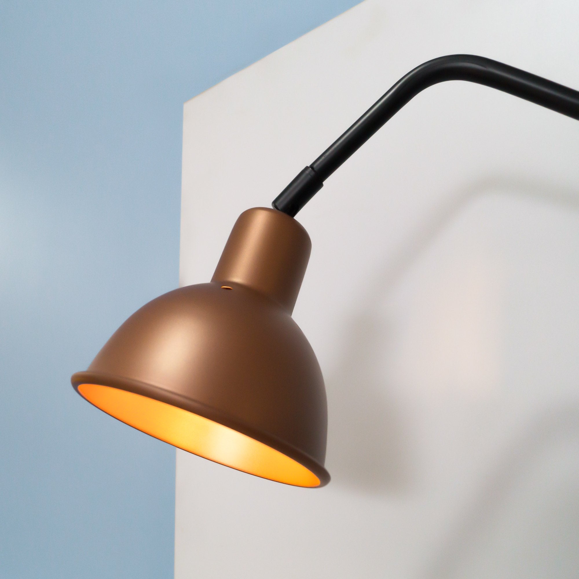 FSW 201 Swivel Arm Wall Mounted Light Fixture