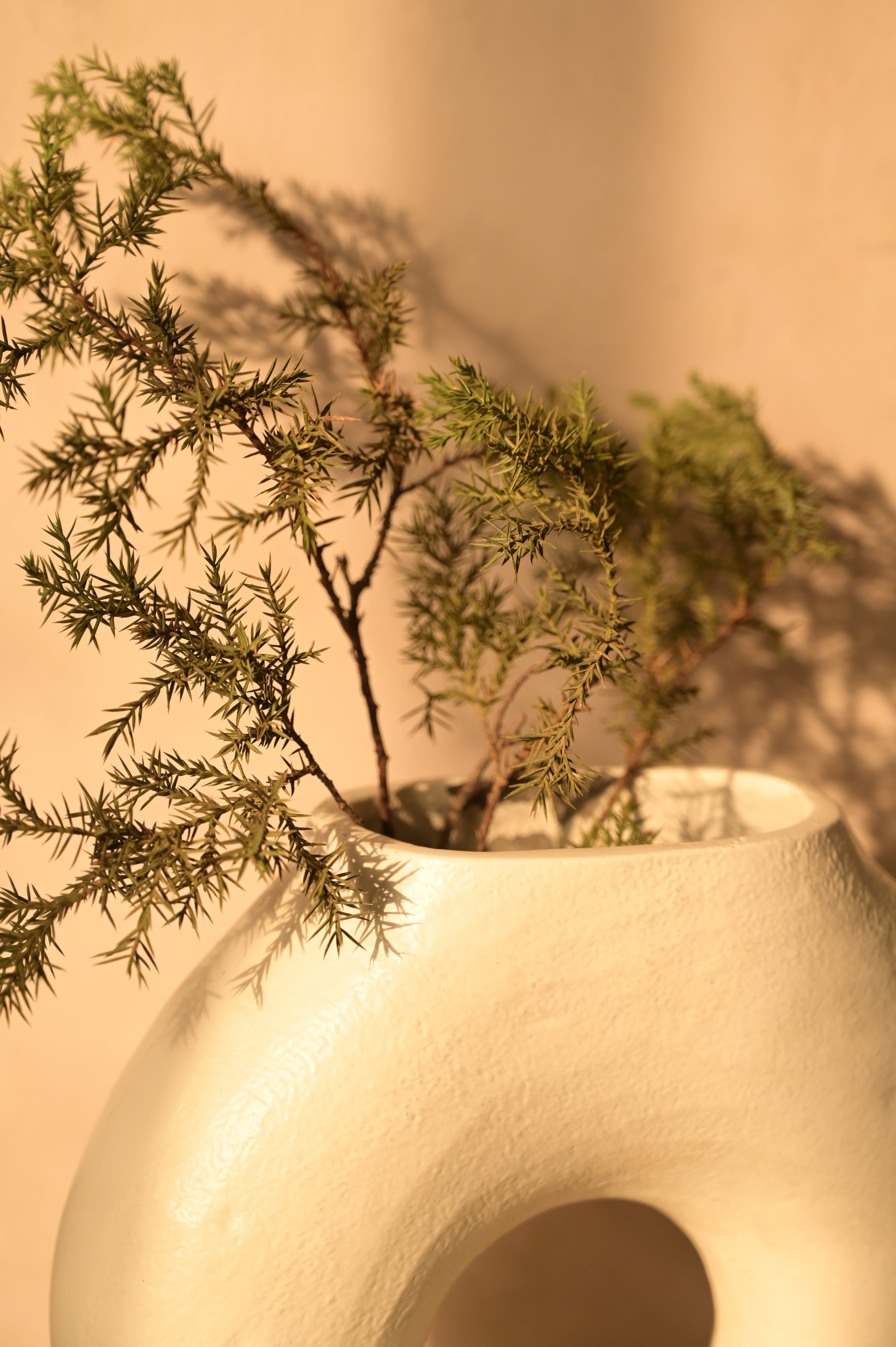 Toscana Vase (white one)