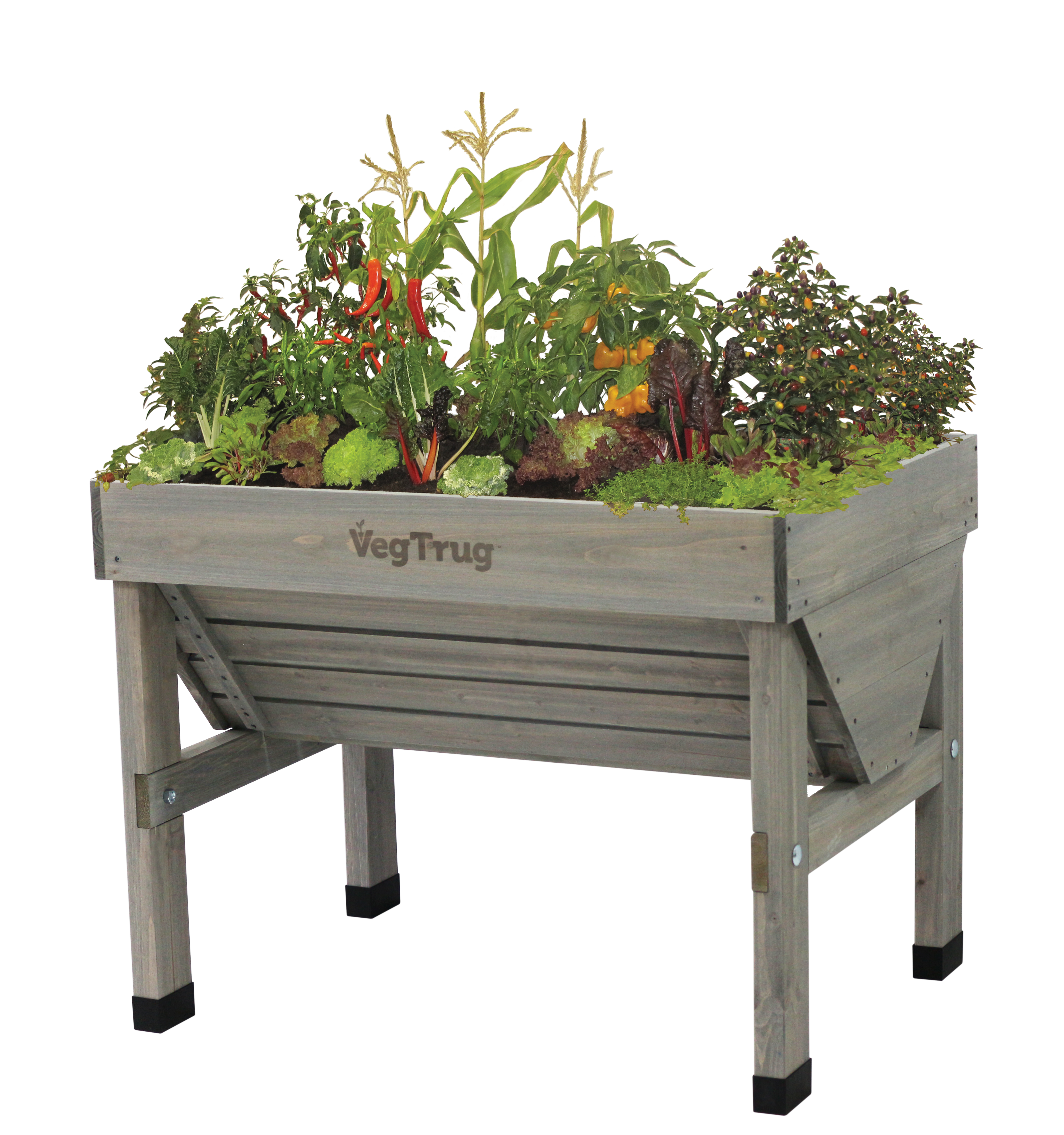 Vegtrug