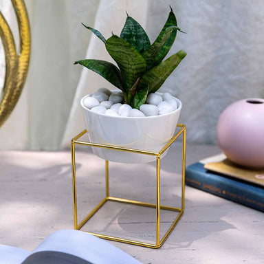 White Gold Planter with Stand