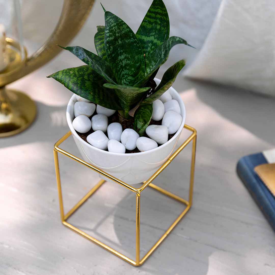 White Gold Planter with Stand