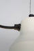 Saishogen Hanging Light