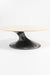 Abel Marble Coffee Table - Indoor Furniture