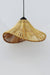 Alo Pendant Lamp
