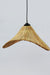 Alo Pendant Lamp