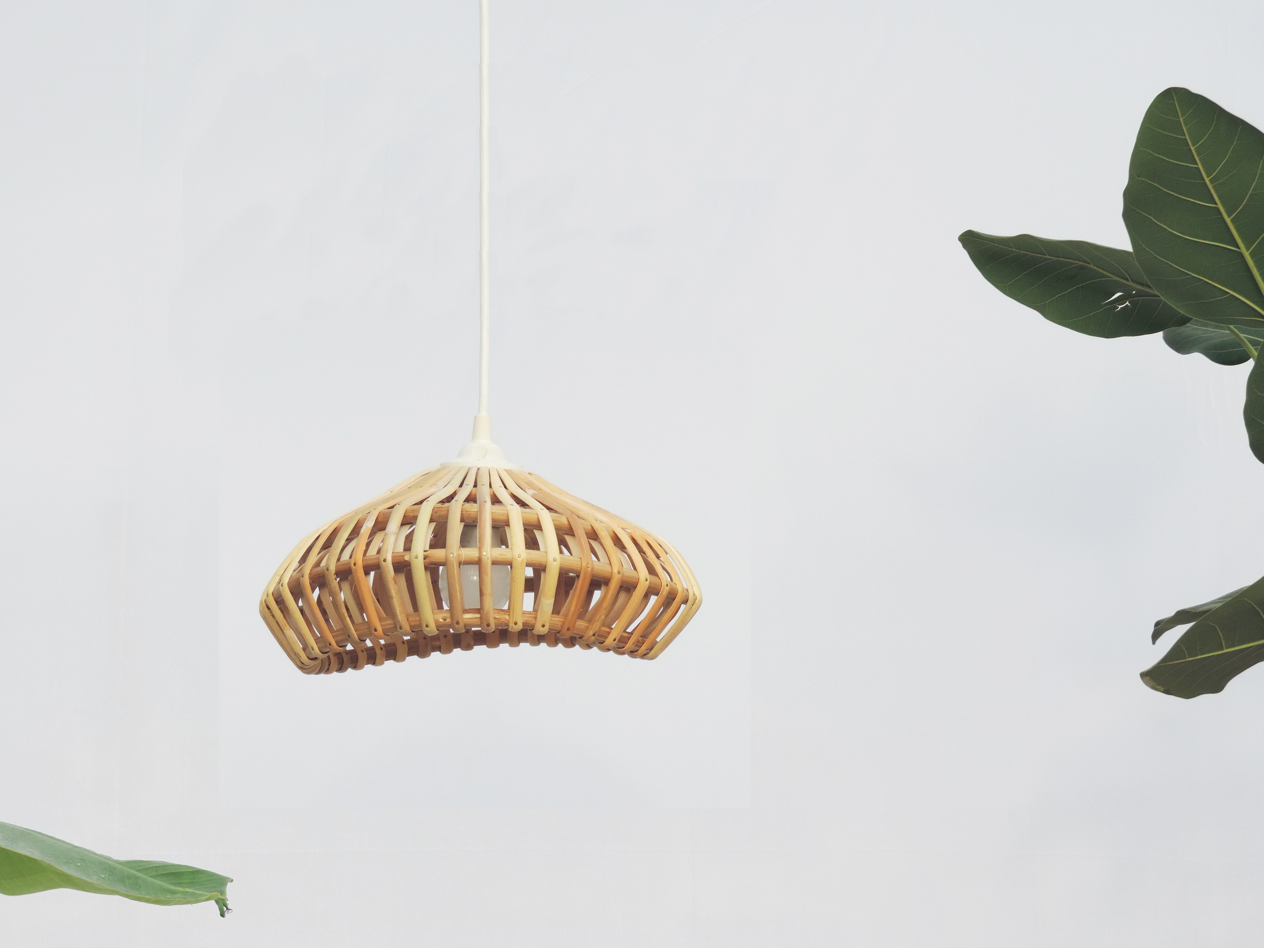 Alokik Pendant Lamp