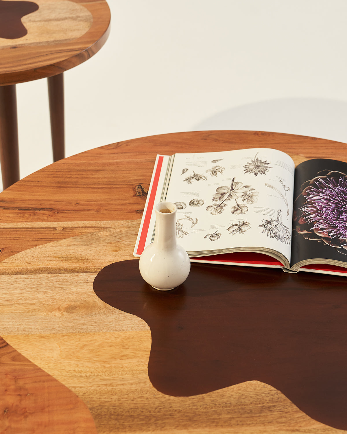 Amoeboid Table - Set of 2 - Natural / Accacia wood / Large: 102L X 102W X 41H and Small: 51L X 51W X 51 H In Cms