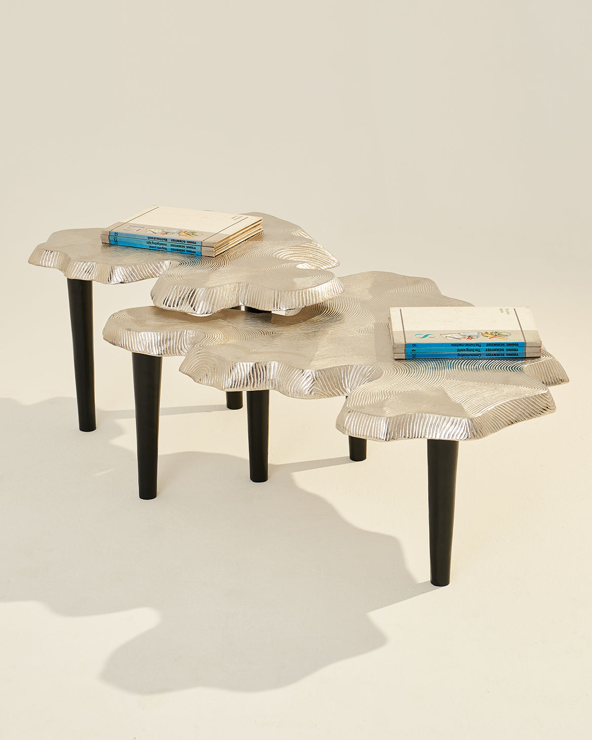 Amorphous Coffee Table - Set of 2 - Silver / Cast Aluminium / Large:90L x 74W x 33H and Small:75L x61W x 40H In Cms