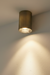 Antique Brass Finish LED Round Surface Light - Warm White / 8L x 5W x 5H Centimeters / Aluminium - Lighting