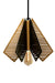 Arin Mesh Hanging Lamp by homeblitz.in
