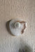Aureole Wall light - White / 250L x 250B x 130H mm / Alabaster & Stainless Steel - Lighting