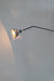 Beale 25Degrees Grey Concrete Lamp