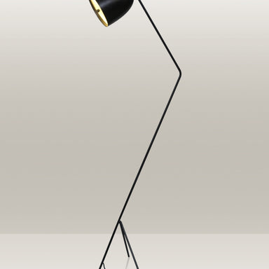 Sleek, black floor lamp with an adjustable head, tripod base, and elegant design.