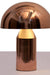 Brisa Mushroom Table Lamp by homeblitz.in