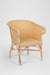 Capri Wicker Chair - Outdoor Chairs