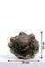 Celeste Petal Table Lamp by homeblitz.in