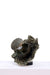 Celeste Petal Table Lamp by homeblitz.in
