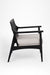 Citrine Lounge Chair - Indoor Furniture