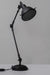 Coal Black Swing-Arm Industrial Desk Lamp With Frosted Glass Cover
