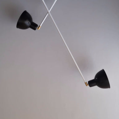 Contemporary Scandi Two-Arm Ceiling Light Fixture