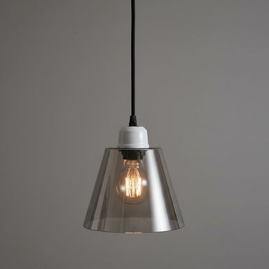 Pendant light with smoked glass shade and visible bulb on a gray background