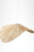 Cosmo Pendant lamp - Lighting
