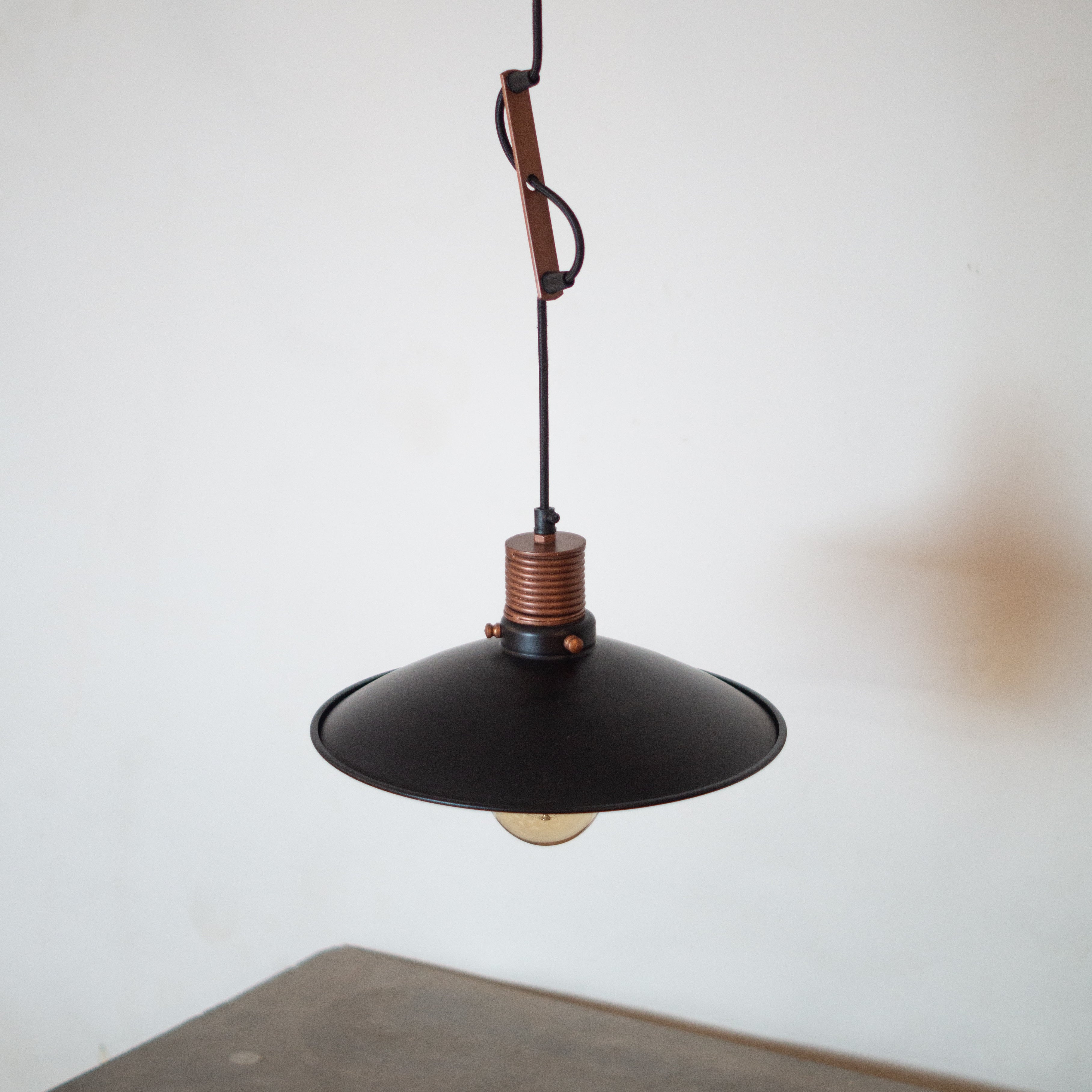 Telegraph Hanging Light